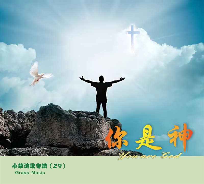 你是神