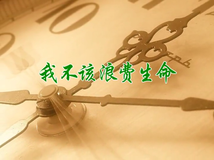 我不该浪费生命