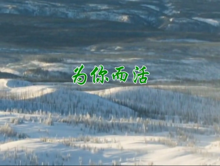 为你而活