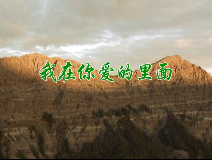 我在你爱的里面
