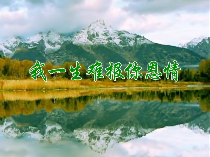 我一生难报你恩情