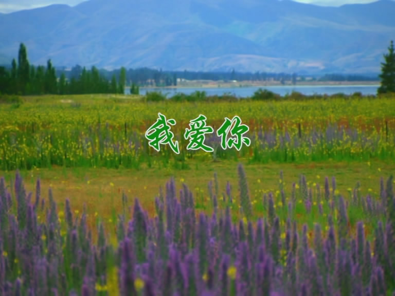 我爱你