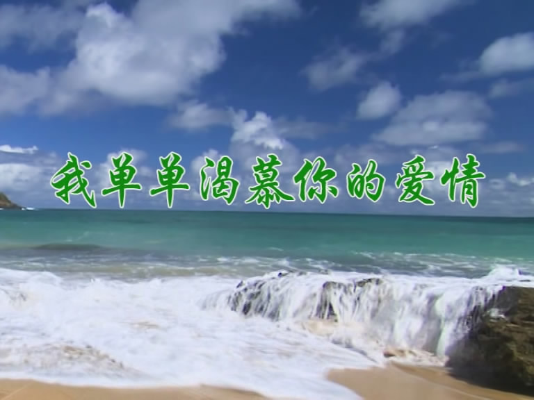 我单单渴慕你的爱情