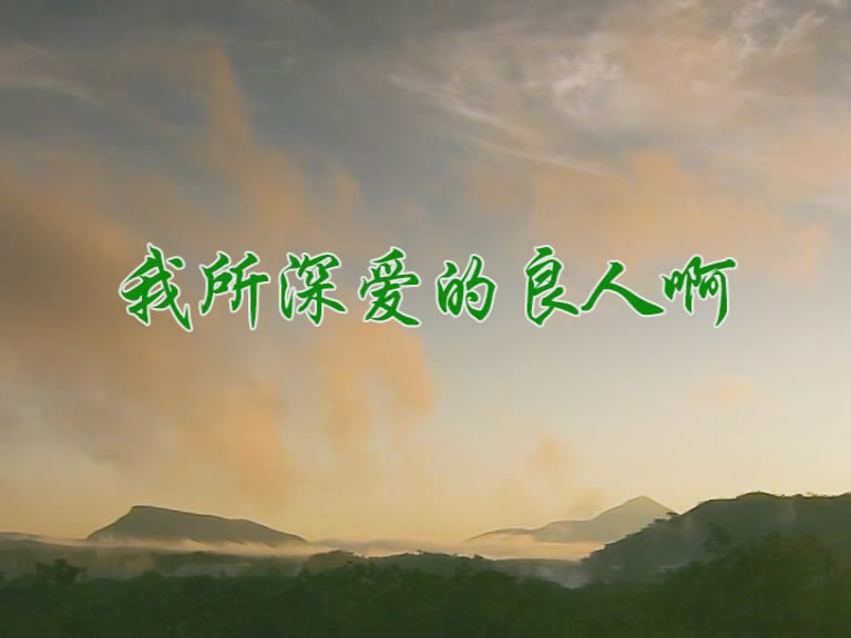我所深爱的良人啊
