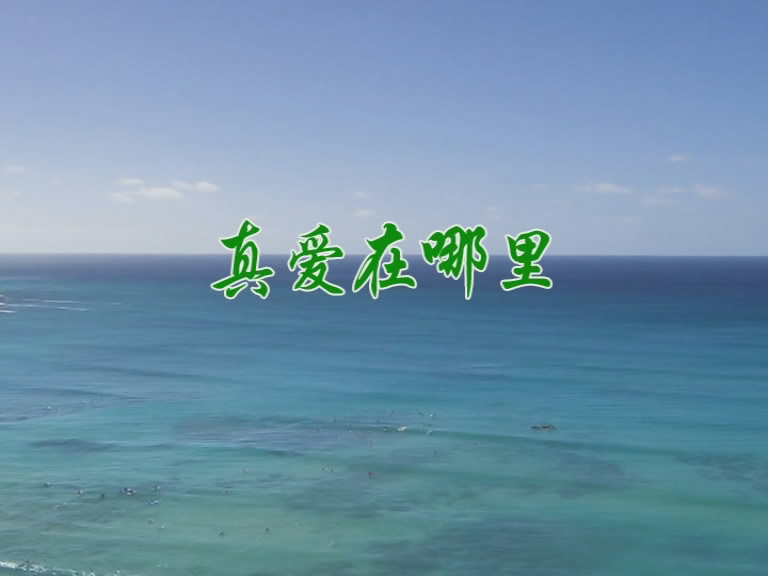真爱在哪里