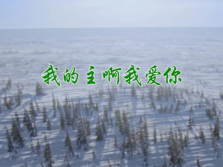 我的主啊我爱你