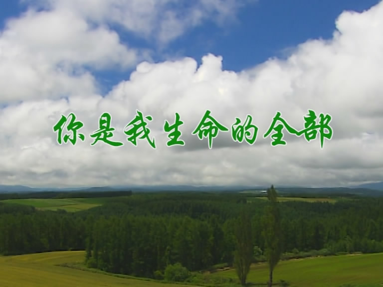 你是我生命的全部