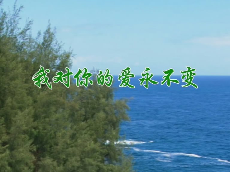我对你的爱永不变