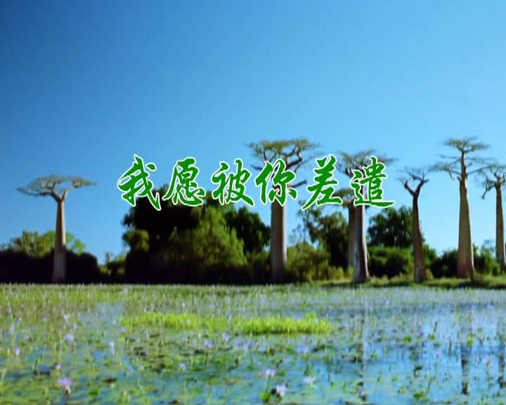 我愿被你差遣