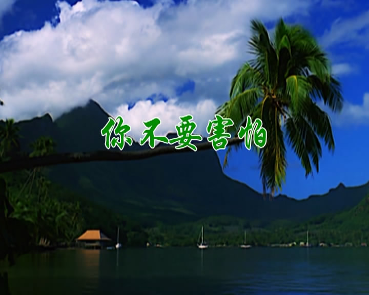 你不要害怕