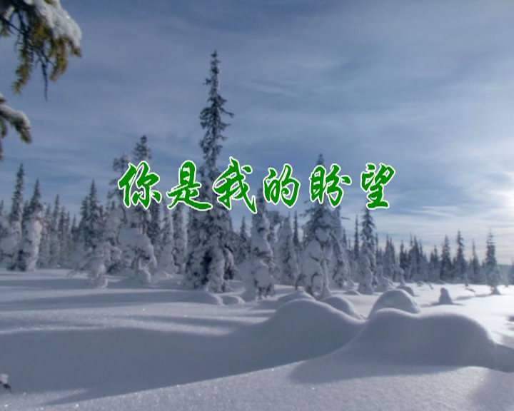 你是我的盼望