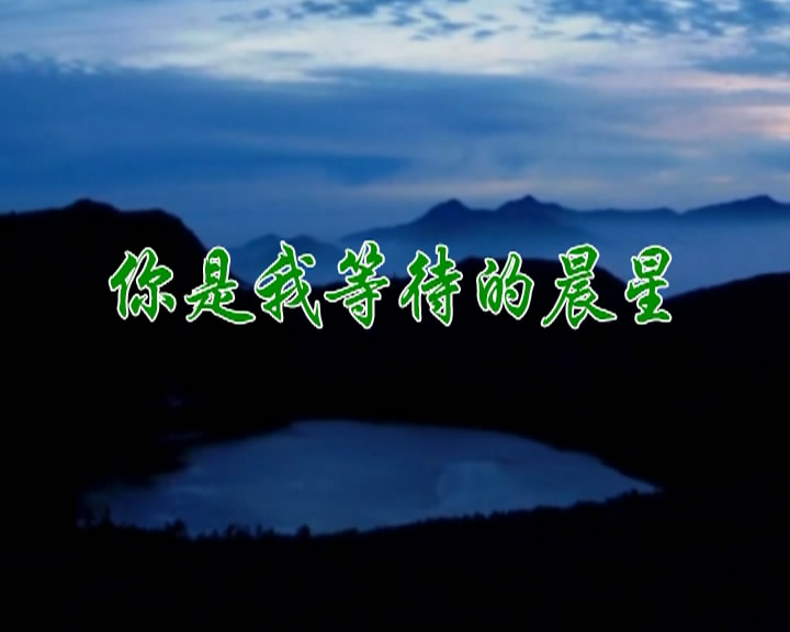 你是我等待的晨星