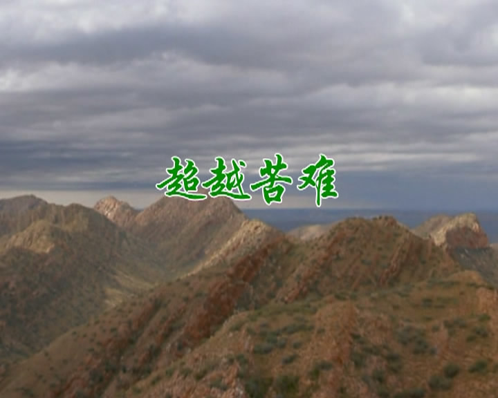 超越苦难