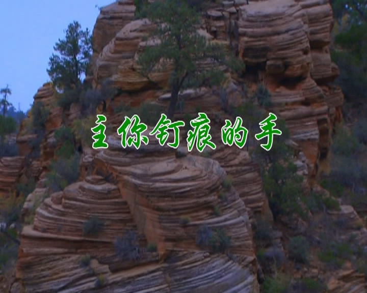 主你钉痕的手