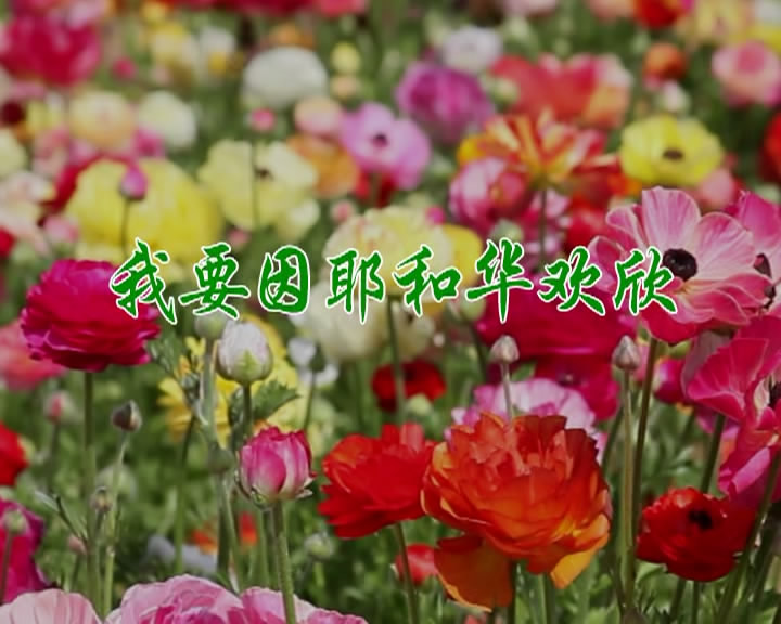 我要因耶和华欢欣