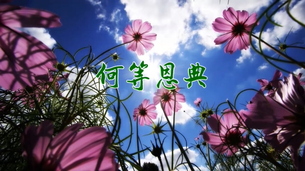 何等恩典