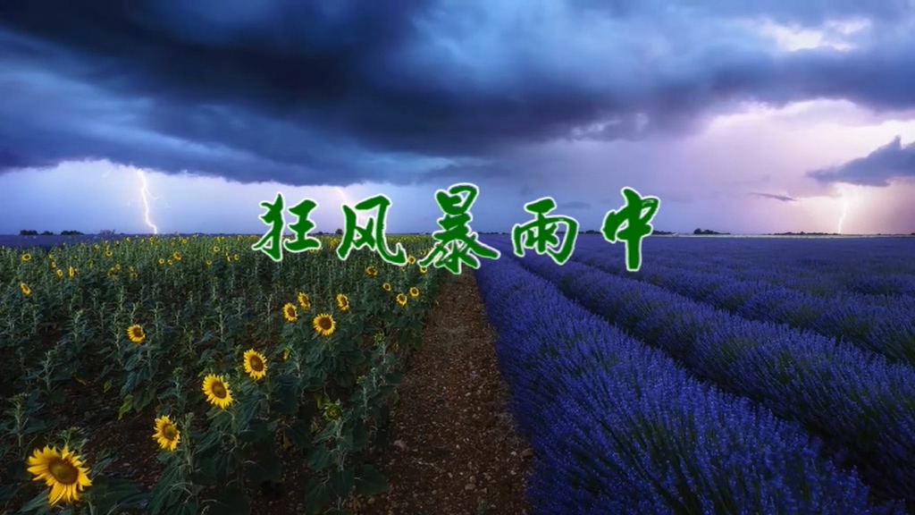 狂风暴雨中