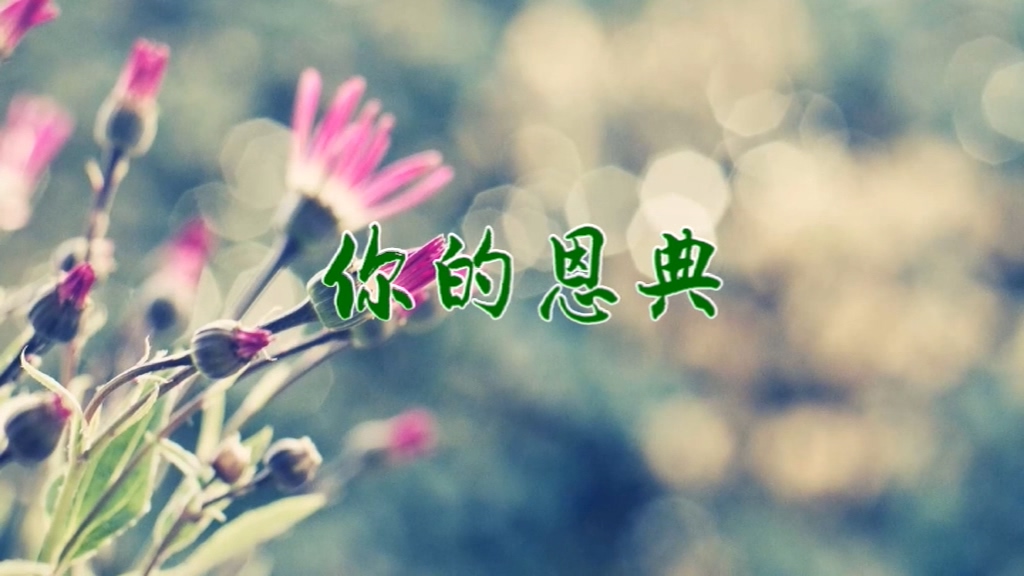你的恩典