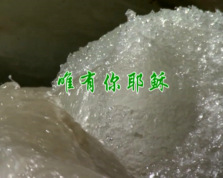 唯有你耶稣