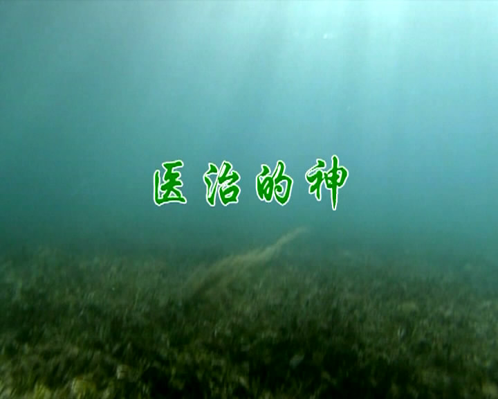 医治的神