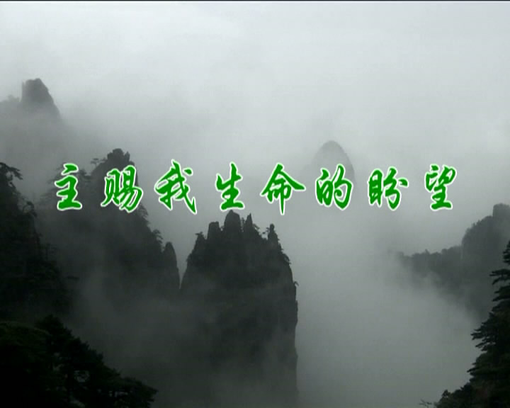 主赐我生命的盼望