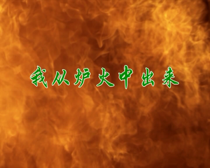 我从炉火中出来