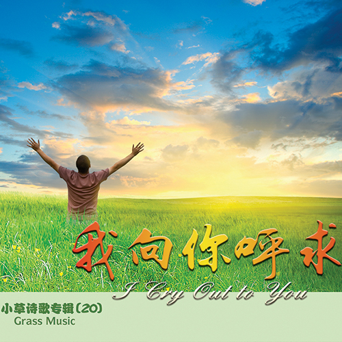 我向你呼求