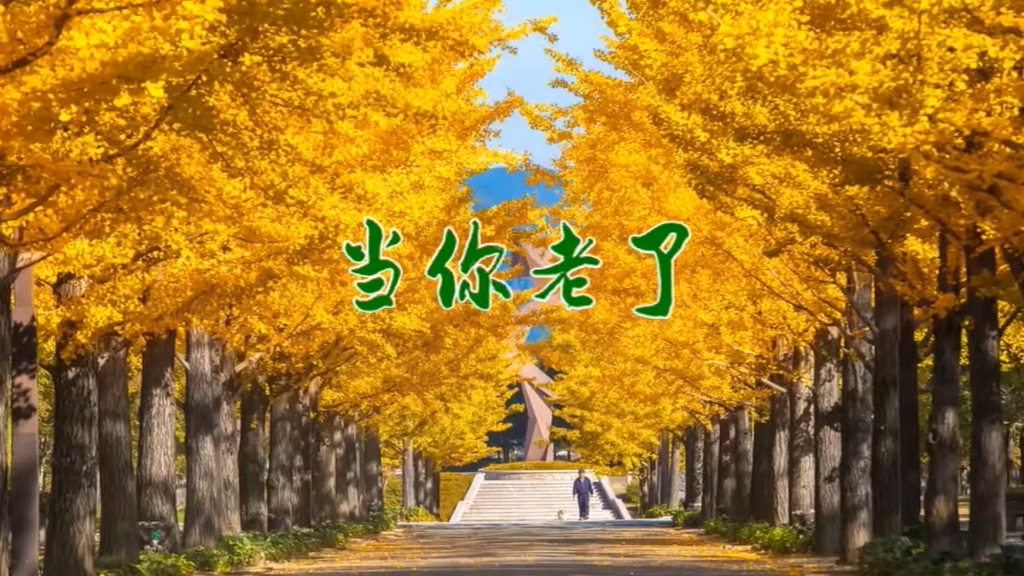 当你老了