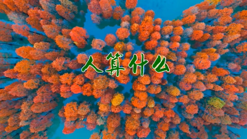 人算什么