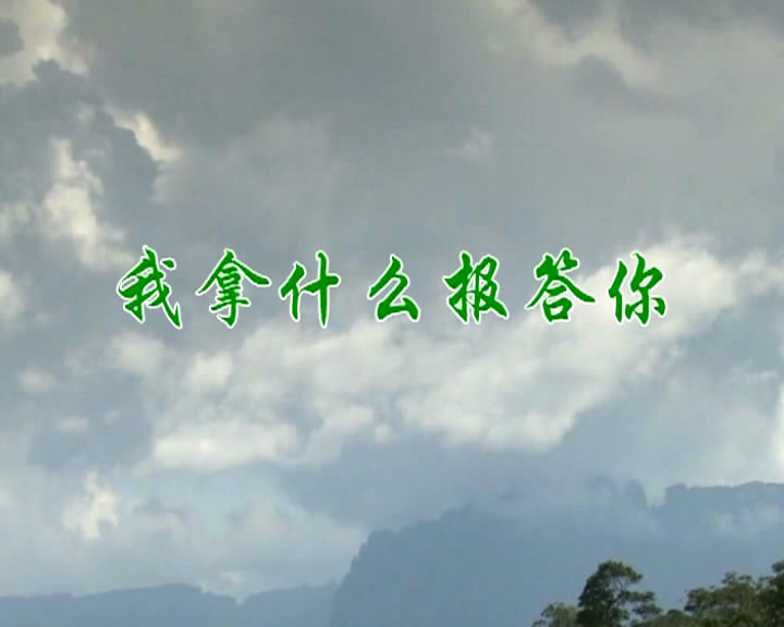 我拿什么报答你