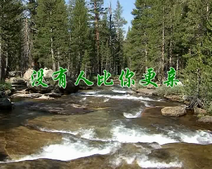没有人比你更亲