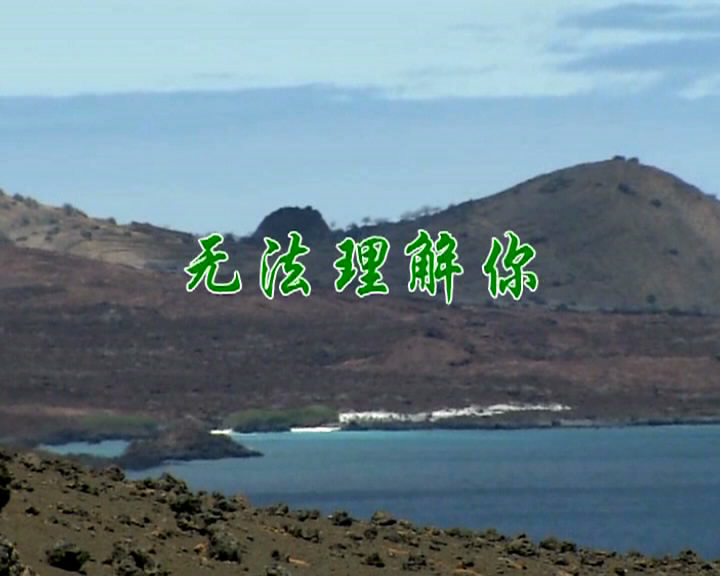 无法理解你