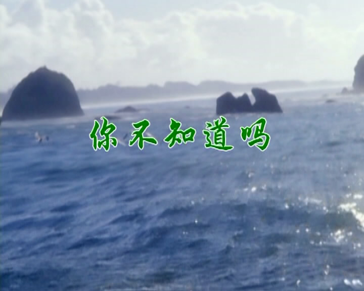 你不知道吗