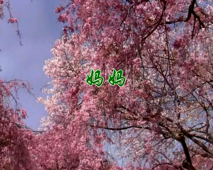 妈妈