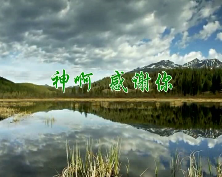 神哪，感谢你