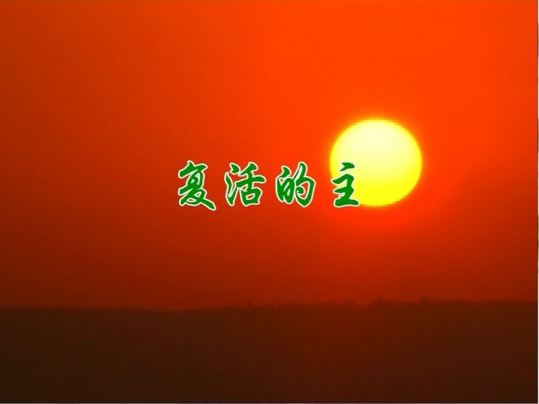 复活的主