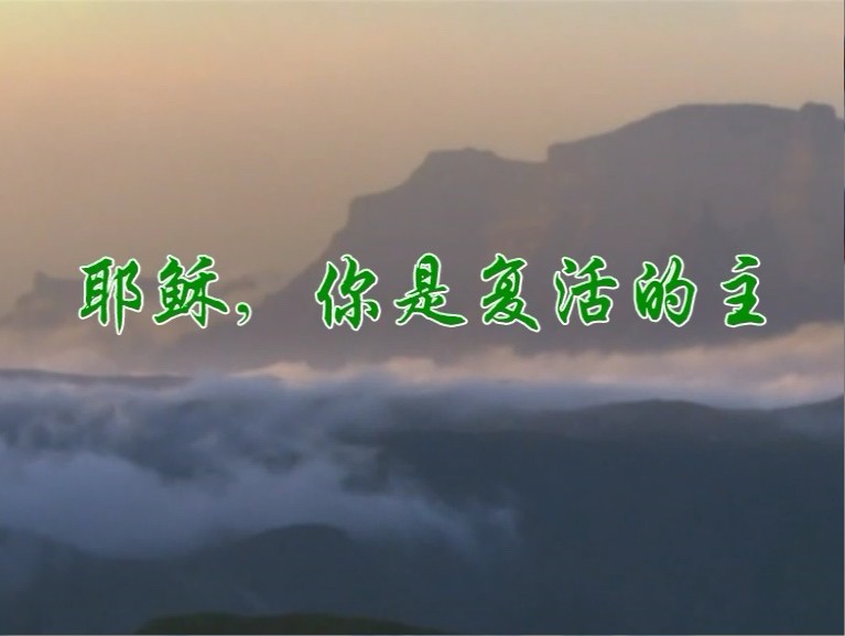 耶稣，你是复活的主