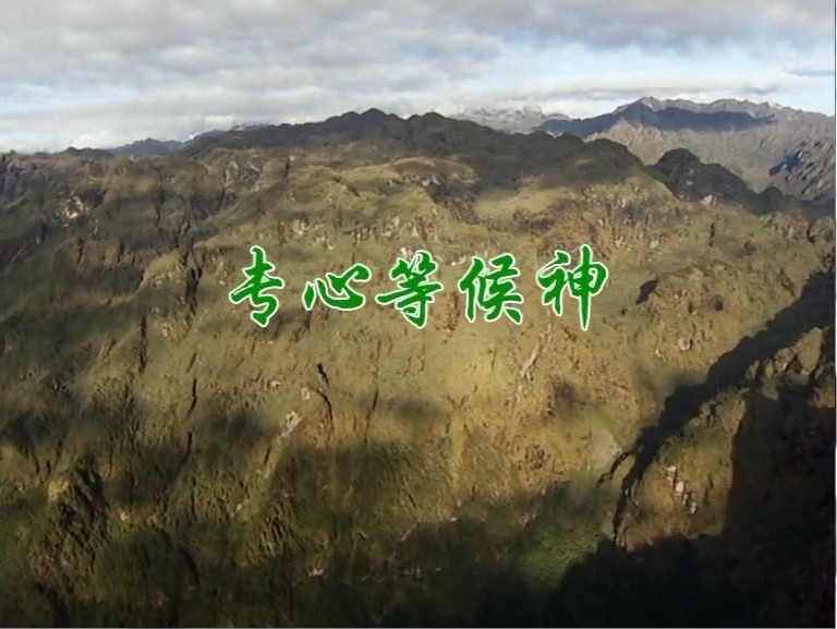 专心等候神