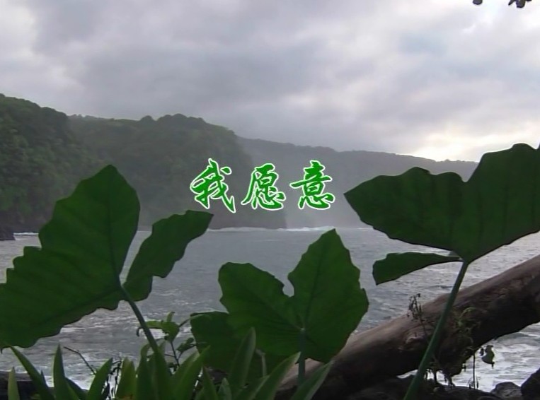 我愿意