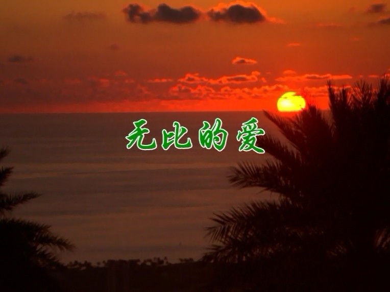 无比的爱