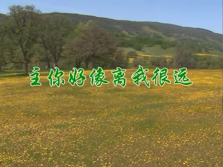 主你好像离我很远