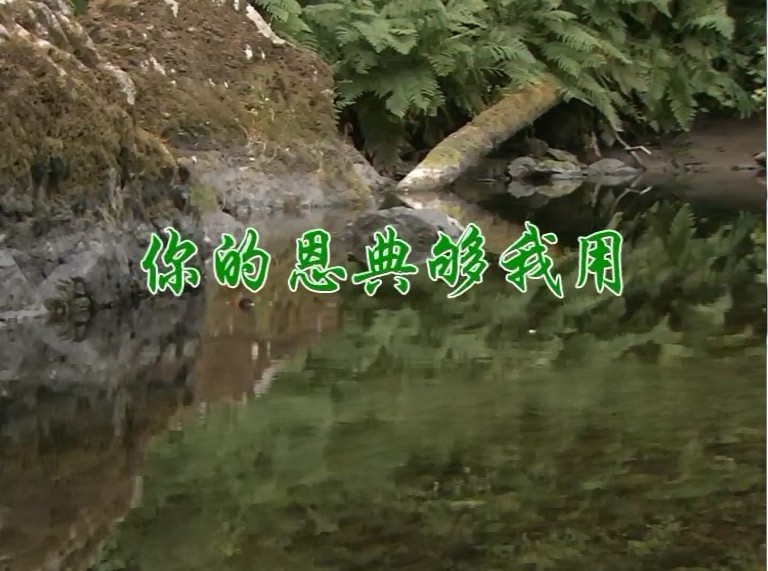 你的恩典够我用