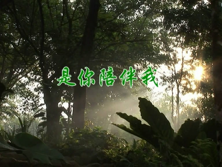 It is You who accompany me