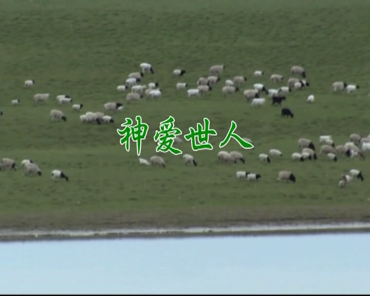 神爱世人