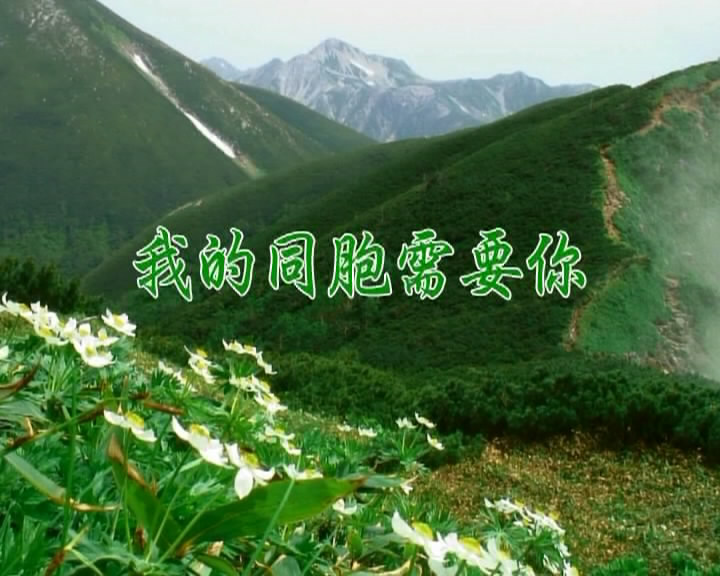 我的同胞需要你