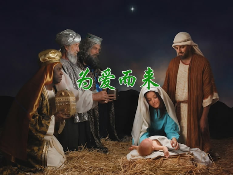 为爱而来