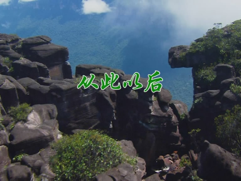 从此以后
