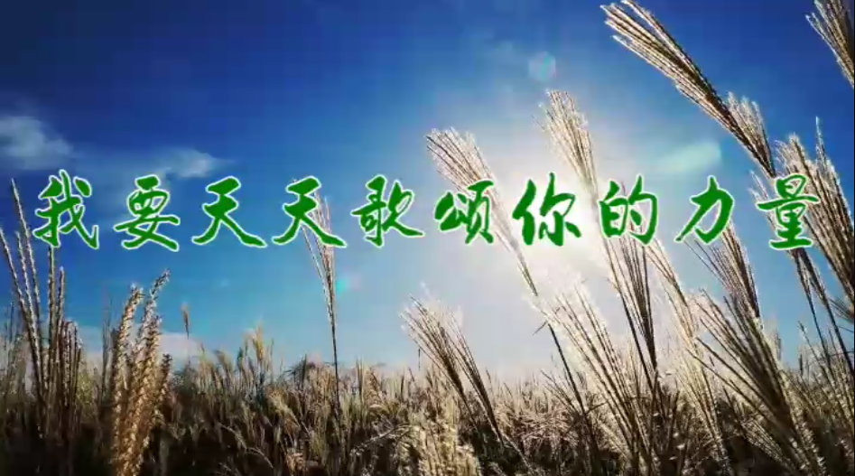 我要天天歌颂你的力量