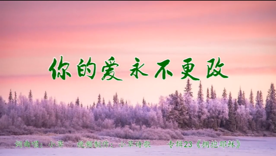 你的爱永不更改