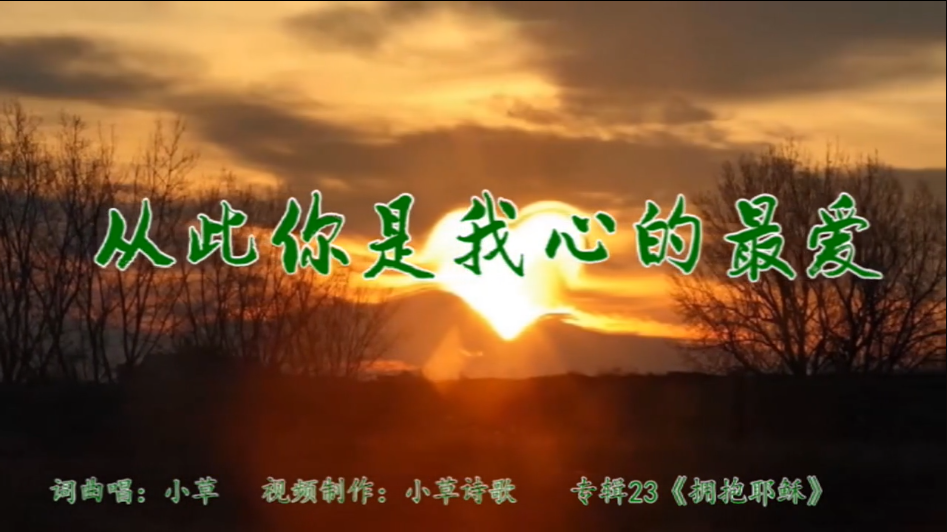 从此你是我心的最爱